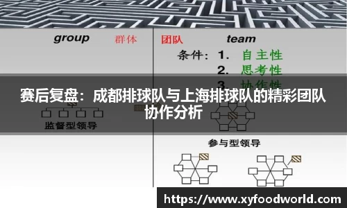 赛后复盘：成都排球队与上海排球队的精彩团队协作分析