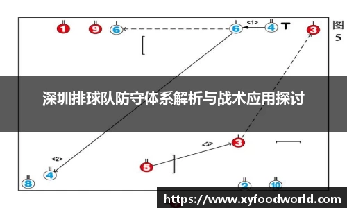 深圳排球队防守体系解析与战术应用探讨