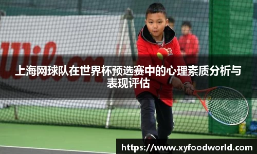 上海网球队在世界杯预选赛中的心理素质分析与表现评估