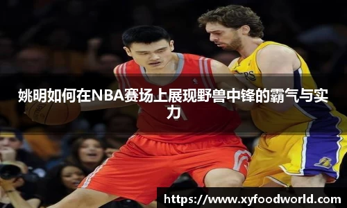 姚明如何在NBA赛场上展现野兽中锋的霸气与实力